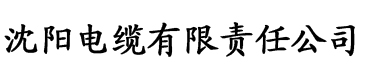 宅男视频十大污污电缆厂logo